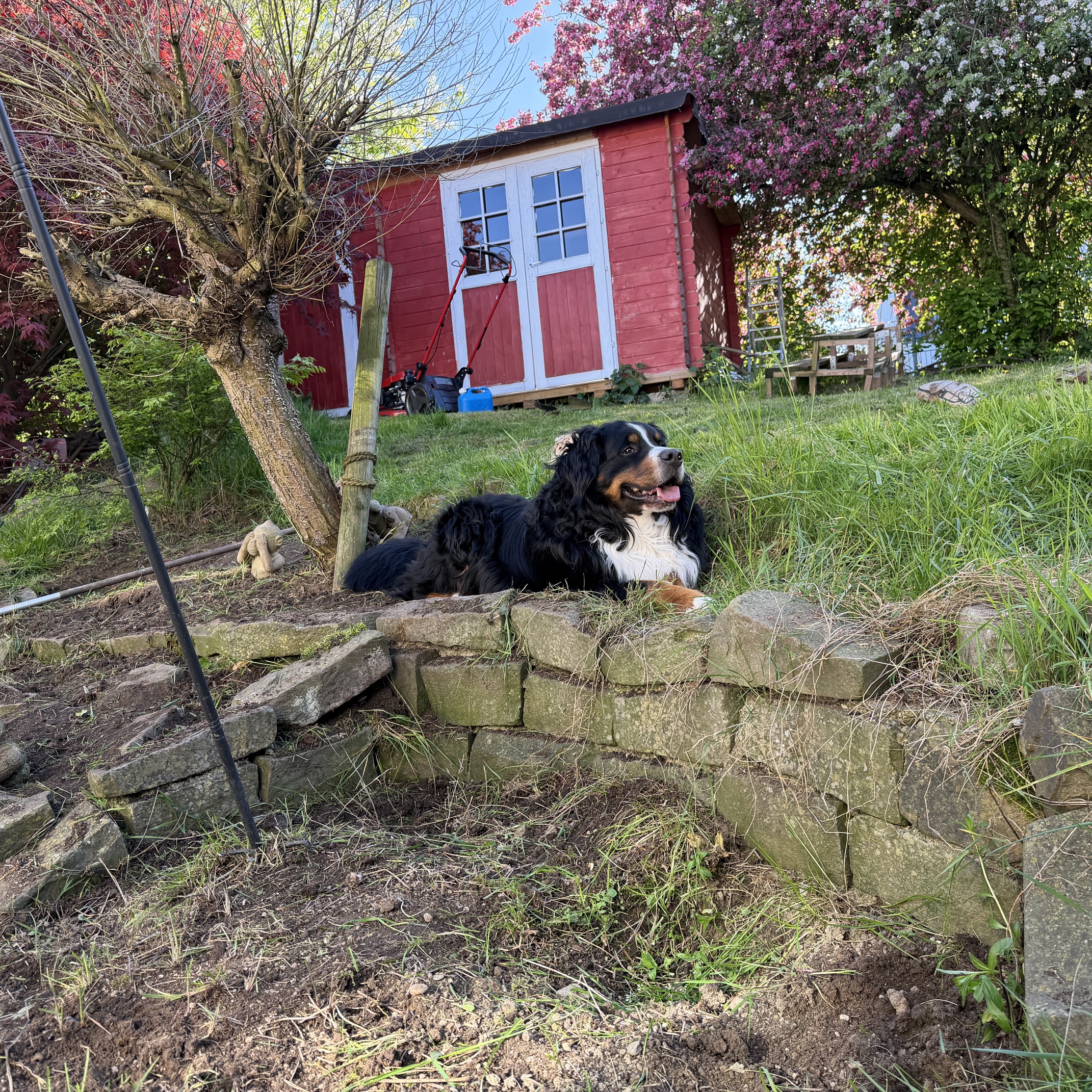 Gartenzeit